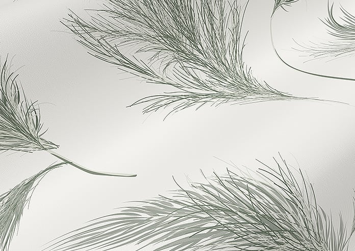 Cypress Drift (Blackout), Green Grove - Roller Blind - Image 4